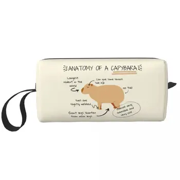 Индивидуалната Анатомия чанта за тоалетни принадлежности от капибары, женски органайзер за козметика, кутия за съхранение на женската козметика Dopp Box Kit