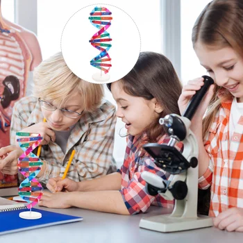 Модел на ДНК на човешките гени, Самодельная модел на двойната спирала, научен и образователен обучителен инструмент за декорация на дома, направи си сам