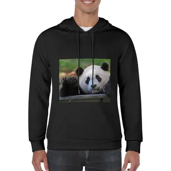 Нова Гигантска панда Сяо Джи Чи в Националния зоопарк, пуловер, hoody, есен облекло, естетична дрехи, аниме-hoody