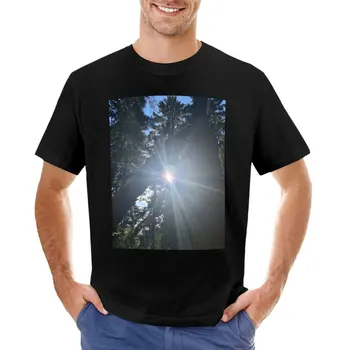 Тениска Bright sun in the woods, тениска оверсайз, тениски за гиганти за мъже